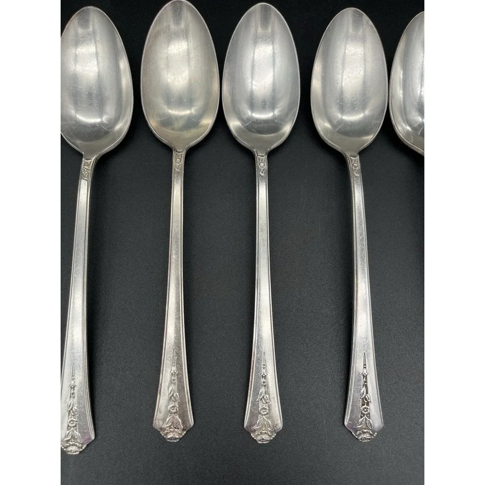Silver Plate Tablespoon/Serving Spoon Set Of 6 Spring Garden International